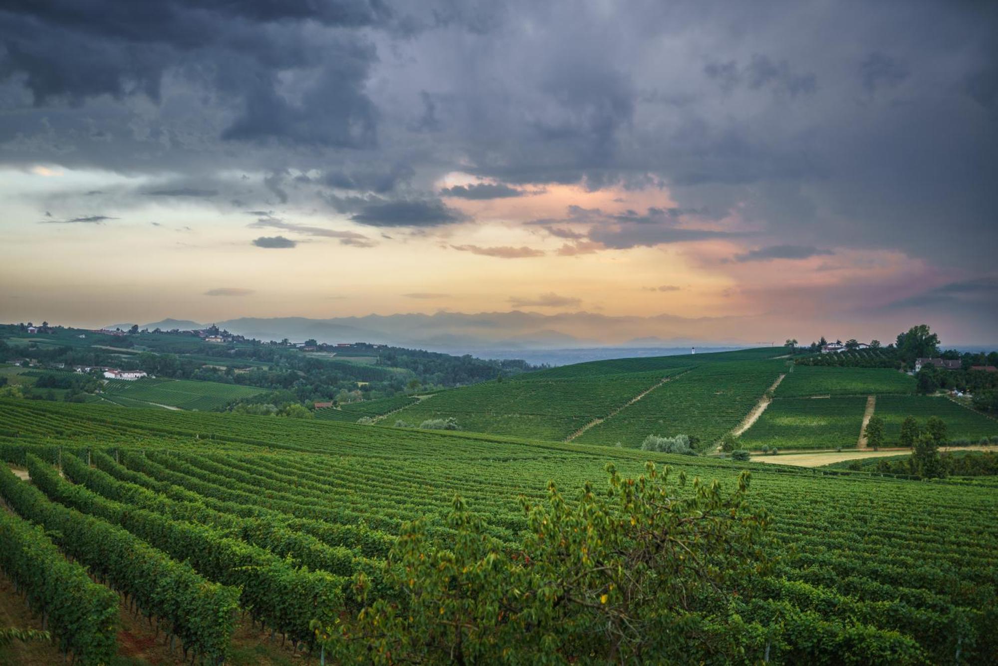 Vineho Διαμέρισμα Barolo Εξωτερικό φωτογραφία